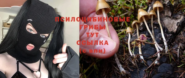 а пвп мука Армянск